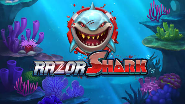 Razor Shark Jackpots Port Testimonial